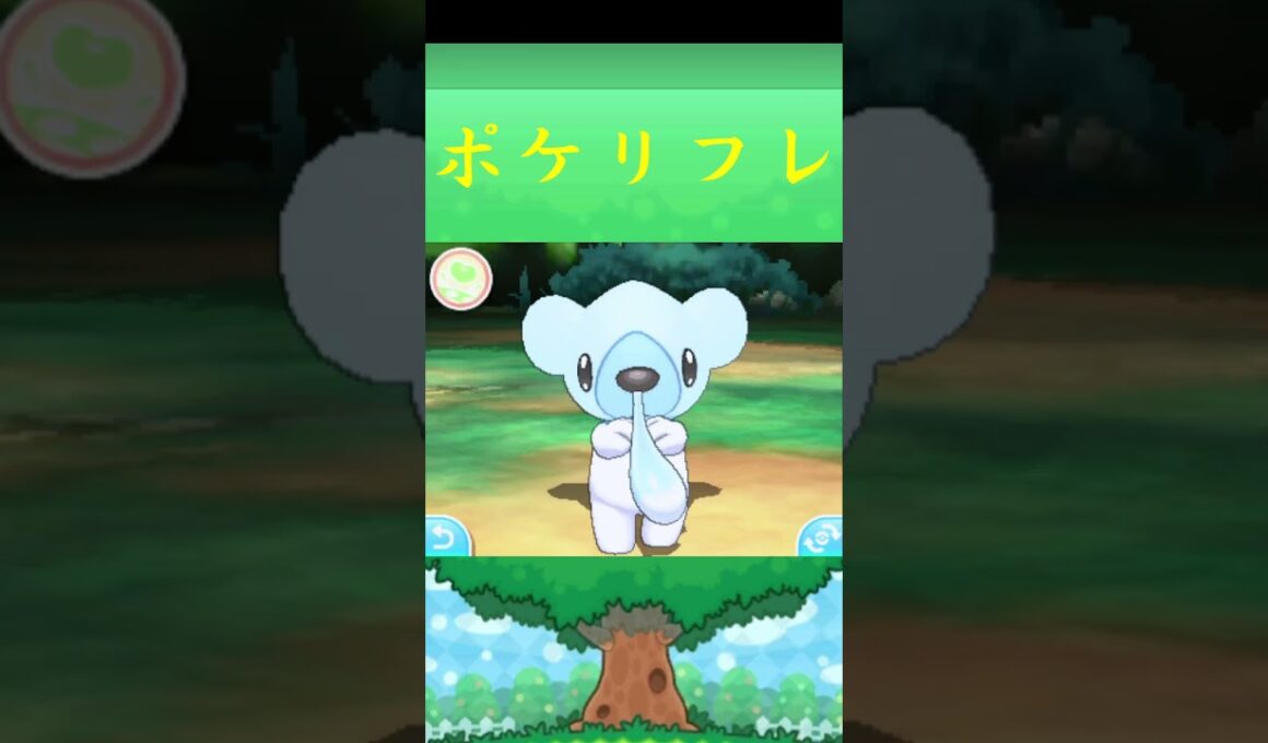 クマシュン*ポケモン ポケリフレ ポケパルレ #ポケモン #Pokemon  #3DS #nintendoswitch #ポケモンsv #ポケモン #キャンプ #サンドイッチ #ピクニック