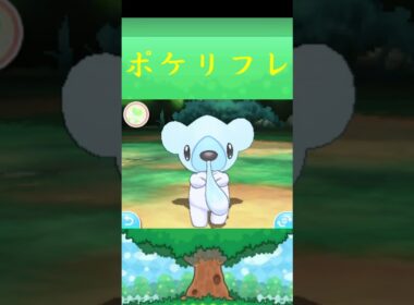 クマシュン*ポケモン ポケリフレ ポケパルレ #ポケモン #Pokemon  #3DS #nintendoswitch #ポケモンsv #ポケモン #キャンプ #サンドイッチ #ピクニック