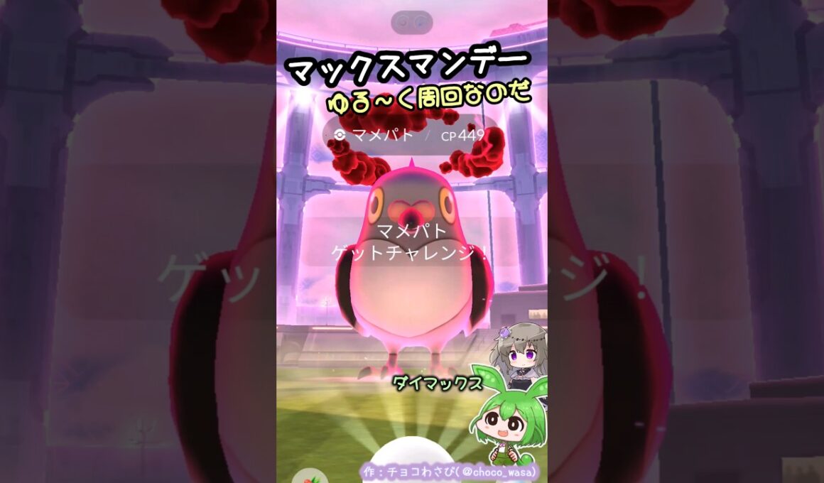 【ポケGO】ダイマックスマメパト...ゆるく周回なのだw【マックスマンデー】