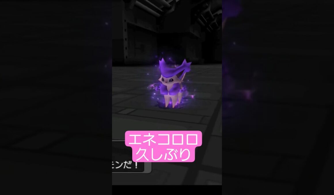 エネコロロ久しぶりに見たわ笑ネコポケモンはかわいい✨ #ポケモンxd #ポケモン30周年
