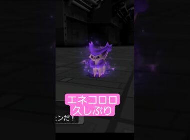 エネコロロ久しぶりに見たわ笑ネコポケモンはかわいい✨ #ポケモンxd #ポケモン30周年