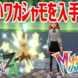 【ポケモンZ-A】色違いワカシャモを入手しよう 進化入手【Pokémon LEGENDS Z-A M次元ラッシュ】