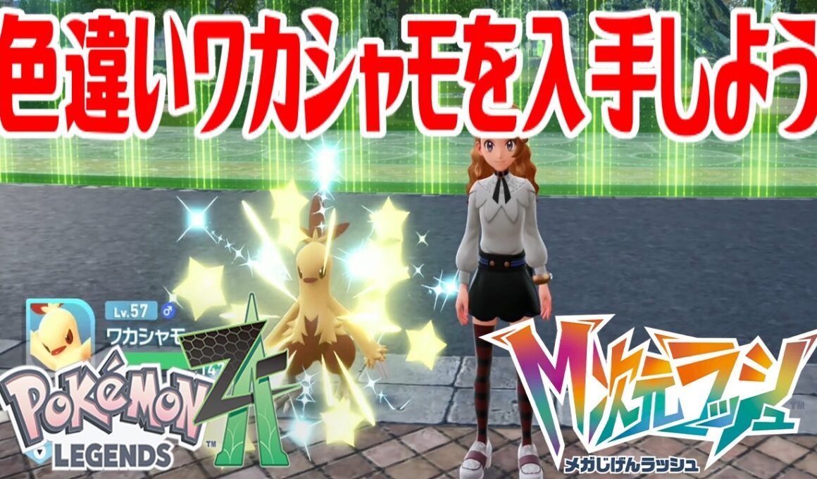 【ポケモンZ-A】色違いワカシャモを入手しよう 進化入手【Pokémon LEGENDS Z-A M次元ラッシュ】
