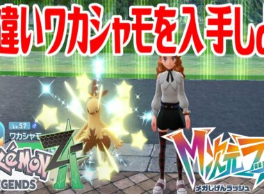 【ポケモンZ-A】色違いワカシャモを入手しよう 進化入手【Pokémon LEGENDS Z-A M次元ラッシュ】