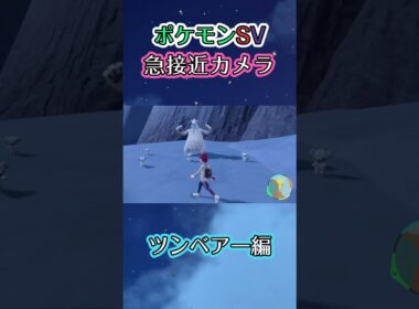 【ポケモンSV】かわいいクマシュンを踏み越えることができない優しいツンベアーを眺めるだけの動画 #ポケモン #ポケモンsv #ツンベアー #shorts