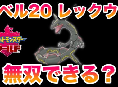 【検証】レベル20色違いレックウザ1匹でストーリーは無双できる？【ポケモン剣盾/冠の雪原/DLC】