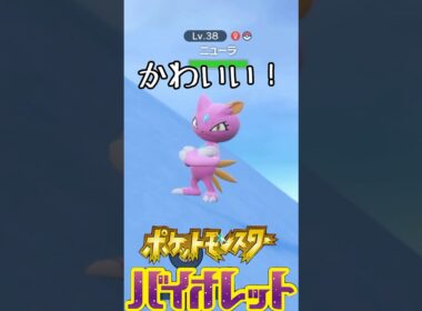 え、何こいつ…と思ったら色違いだったw【ポケモンSV】 #ゲーム実況 #ポケモン