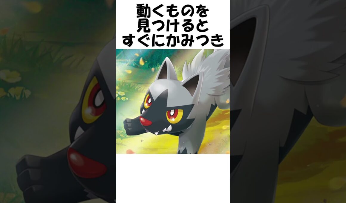 【ポケモン】強がり #Shorts