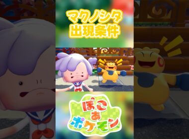 【ぽこあポケモン】マクノシタの出現条件を徹底解説！#shorts