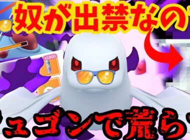 【ポケモンGO】サマーカップ開幕！何故か出禁の奴がいるので新シャドウジュゴンの出番だ！【サマーカップ】