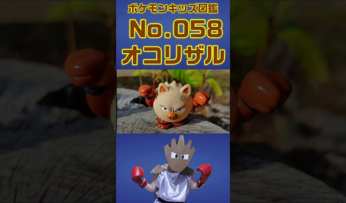 ポケモン実体図鑑No 058オコリザル #ポケモンキッズ #オコリザル