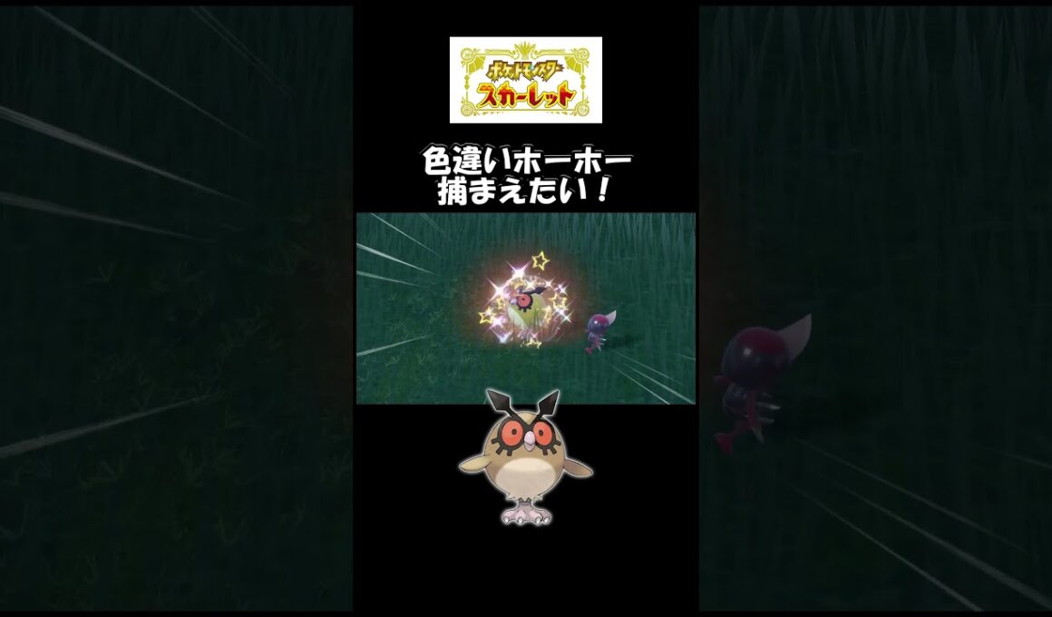 色違いホーホー捕まえたい！#スカーレット#ポケモン#ポケモンsv #色違い#ゲーム#ゲーム実況#ゲーム配信#参加型#初心者#ゲーマー夫婦#switch＃game