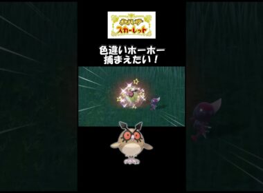 色違いホーホー捕まえたい！#スカーレット#ポケモン#ポケモンsv #色違い#ゲーム#ゲーム実況#ゲーム配信#参加型#初心者#ゲーマー夫婦#switch＃game