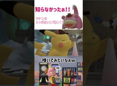 ヤドンのしっぽの豆知識増えた！！