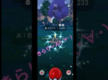 【ポケモンGO】スナバァ色違い初ゲット🤩 #ポケモンgo #pokemongo #スナバァ #色違い #図鑑登録