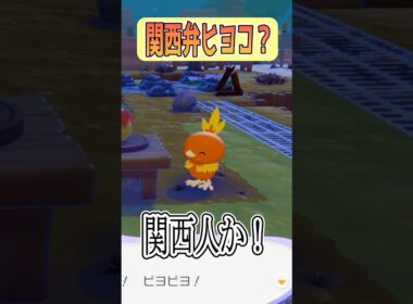 【ぽこあポケモン】関西弁にセリフ改変すなｗ #shorts #ぽこあポケモン #カビゴン #アチャモ