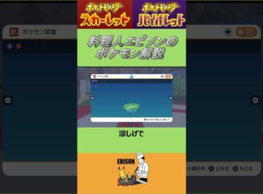 エビソンのポケモン解説　#ポケモン #ポケモンsv #スカーレットバイオレット #ハスボー