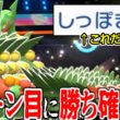 1ターン目に殴ると見せかけて"しっぽきり"するだけで3タテ一瞬で決まる神「メガジュカイン」まだ使ってないやついる？【ポケモンチャンピオンズ|Pokemon Champions】実況プレイ