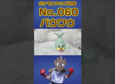 ポケモン実体図鑑No 060パウワウ #ポケモンキッズ#パウワウ