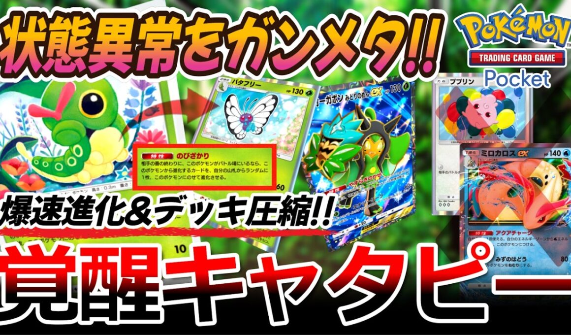 【ポケポケ｜デッキ紹介】状態異常をガンメタ!! 爆速進化&デッキ圧縮!! 覚醒キャタピー feat. オーガポン（Pokémon TCG Pocket）