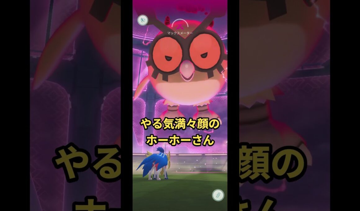 やる気満々顔のDMホーホーさん