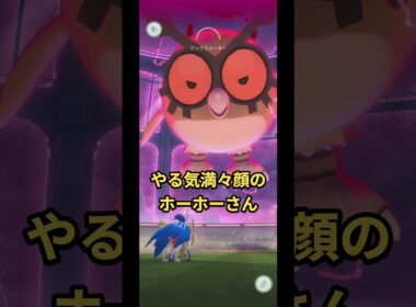 やる気満々顔のDMホーホーさん