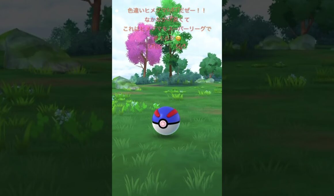 【ポケモンGO】色違いヒメグマゲッチャレ #ポケモン #teddiursa #깜지곰 #pokemongo #shorts #ヒメグマ #pokémon #色違い