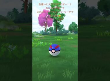 【ポケモンGO】色違いヒメグマゲッチャレ #ポケモン #teddiursa #깜지곰 #pokemongo #shorts #ヒメグマ #pokémon #色違い