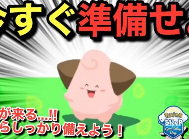 今すぐ準備しないと私は間に合わないし、ピィはたぶんいつでも間に合わない😂【ポケモンスリープ】無課金リサーチ1072/1057日目