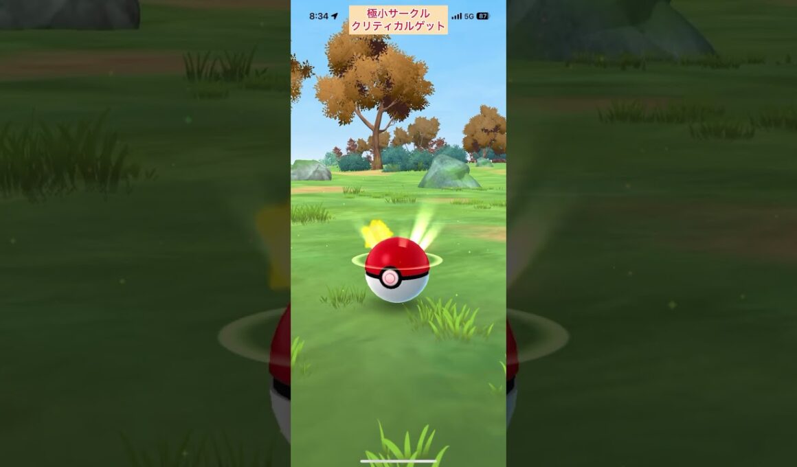 【難易度中】色違いクヌギダマ極小サークルクリティカルゲット【ポケモンGO】