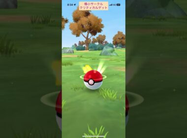【難易度中】色違いクヌギダマ極小サークルクリティカルゲット【ポケモンGO】