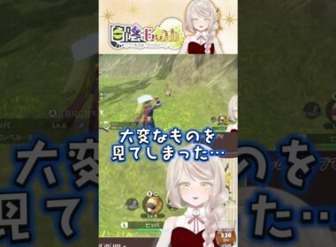 【ポケモンアルセウス】とてもヤバいギャロップから逃走する喫茶店員【切り抜き】