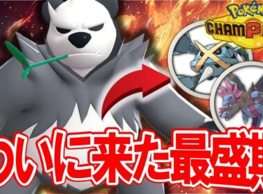 【サザングロス必勝】今や誰も使っていないゴロンダ、環境変化により最盛期を迎えました。【ポケモンチャンピオンズ】