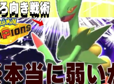 【Sランク？？】誰も気づいてない。メガジュカイン、実は強い・・・？【メガタイレーツ】【ポケモンチャンピオンズ対戦実況】