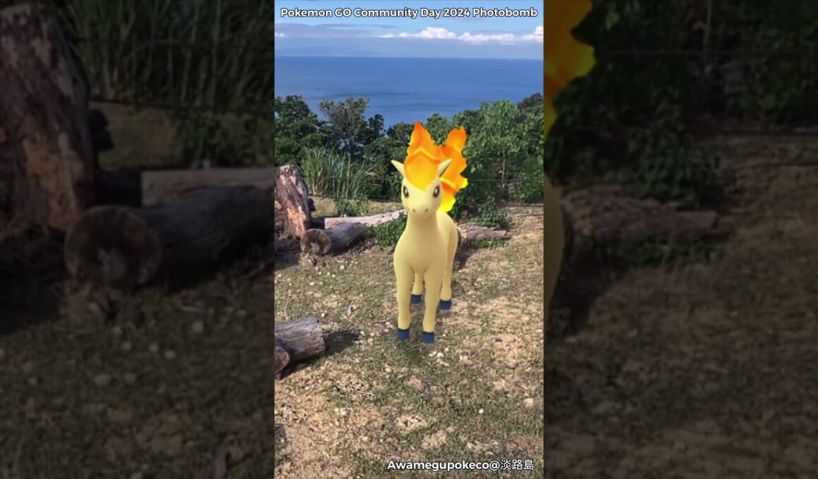 ポニータ｜Ponyta【ポケモンGO】PoKeMoN GO AR｜AR動画｜NianticAR｜GOsnapshot｜gophotobomb