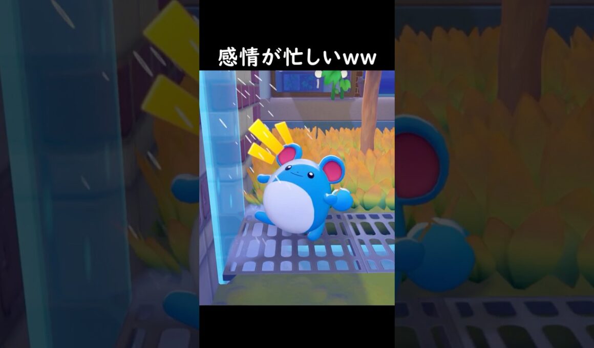 【ぽこポケ】マリルの感情の起伏が激しい…w