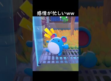 【ぽこポケ】マリルの感情の起伏が激しい…w