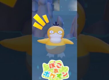コダックかわいいよコダック #ぽこポケ #ぽこあポケモン #PokemonPokopia #Pokopia