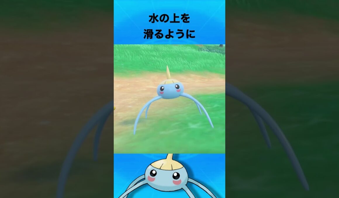アメタマについて #ポケモン #アメタマ