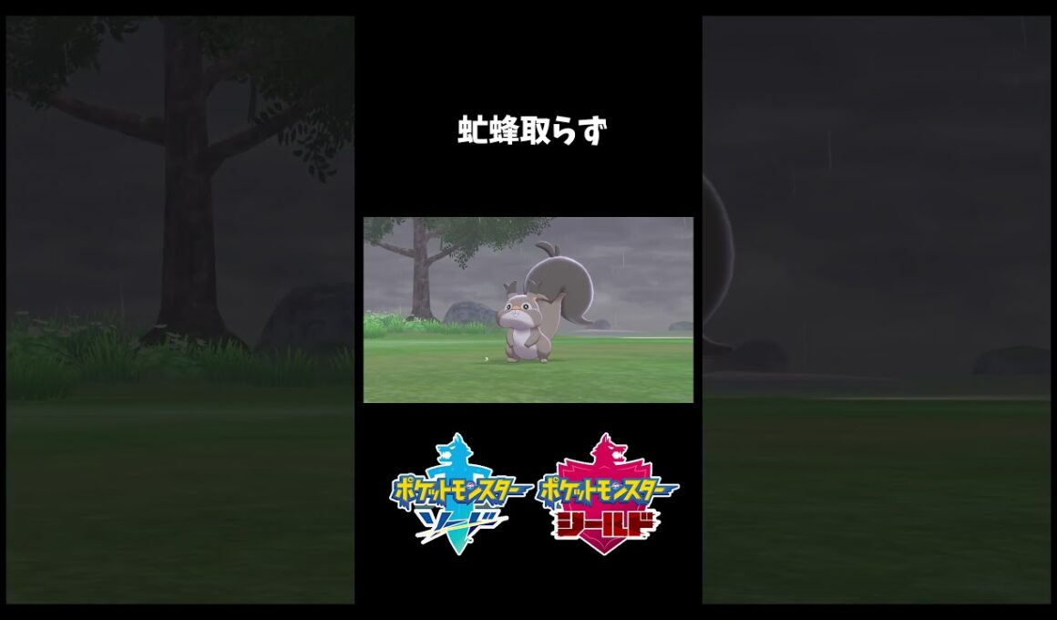 【虻蜂取らず】欲張りすぎたらダメだね(-_-;)【ポケモン剣盾】 #ポケモン剣盾 #ホシガリス #虻蜂取らず