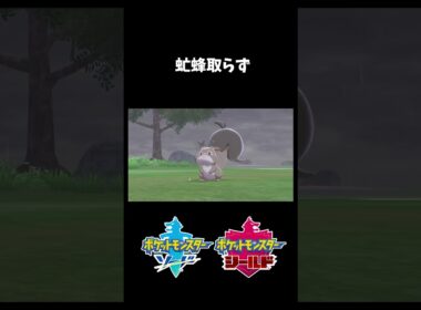 【虻蜂取らず】欲張りすぎたらダメだね(-_-;)【ポケモン剣盾】 #ポケモン剣盾 #ホシガリス #虻蜂取らず