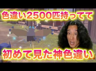 【衝撃】色違い2500匹持ってる俺が初めて見た色違い〇〇が神すぎたww【ポケモンレジェンズアルセウス】