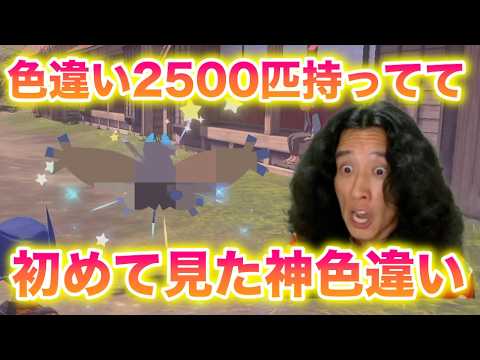 【衝撃】色違い2500匹持ってる俺が初めて見た色違い〇〇が神すぎたww【ポケモンレジェンズアルセウス】