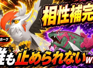【相性補完◎】メガムクホーク×イダイトウが環境で大暴れｗｗｗ【ポケモンチャンピオンズ実況】