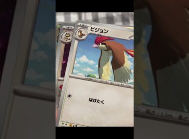 無欲の勝利あるのかな？🤔ポケモン知識のない主婦がひたすらソーナンスと叫ぶポケカ開封【4日目】 #ポケモン #ポケモンカード #ポケカ開封 #ソーナンス #shorts