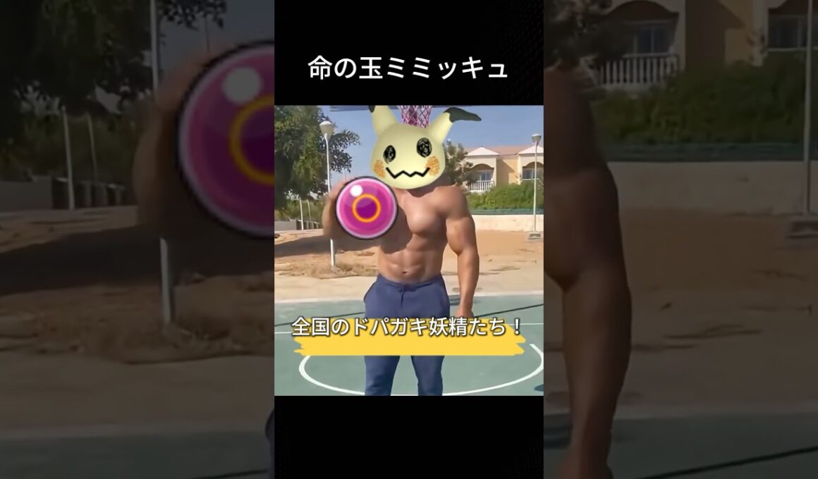 いのちのたまミミッキュ #ポケモン #チャンピオンズ #環境 #ドパガキ