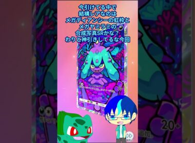 エモンガむっちゃ爆裂愛してるにしか見えない #テルの実況局 #ポケモンカード #ポケポケ #ポケモン #ポケカ #ミラクルデイズ