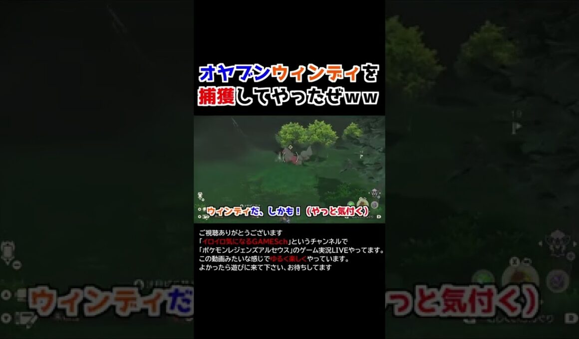 珍しいオヤブンウインディを捕獲する！【Pokémon LEGENDS アルセウス】
