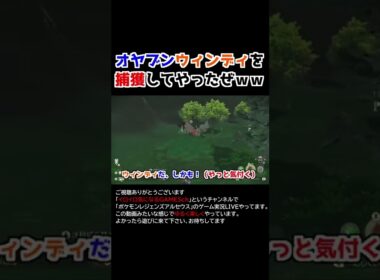 珍しいオヤブンウインディを捕獲する！【Pokémon LEGENDS アルセウス】
