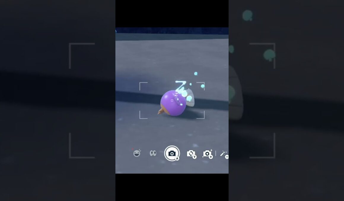 ポケモンヒーリング　ミズゴロウ編